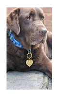 Gold heart shaped dog tag keyring engraved with a dog breed face