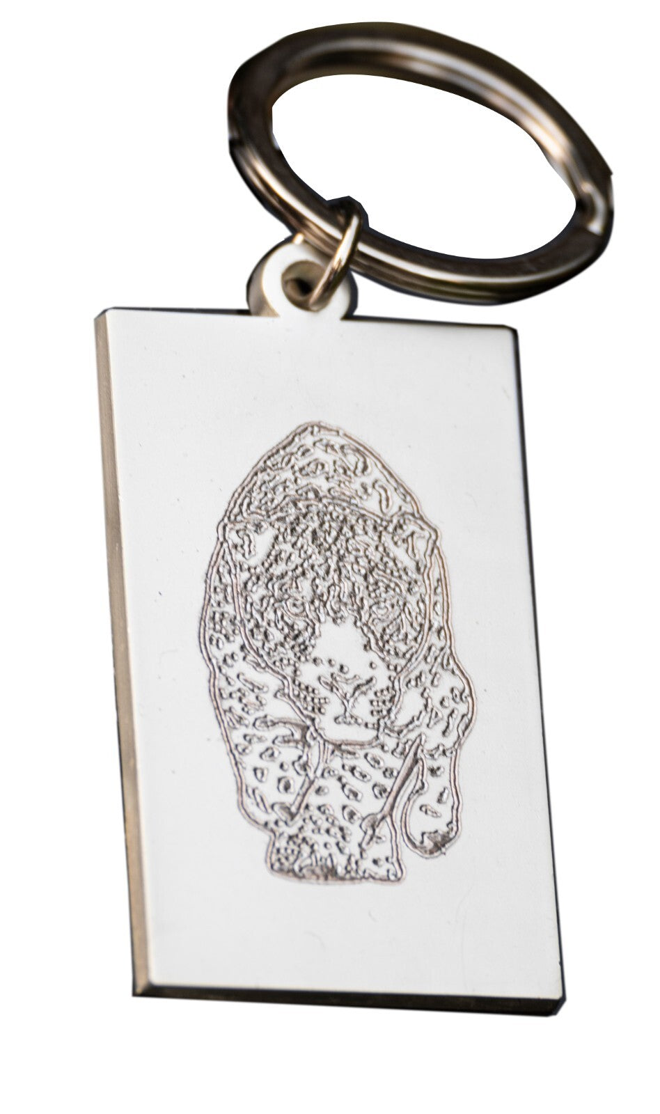 Leopard engraved on a metal keyring by Colonel Fogg